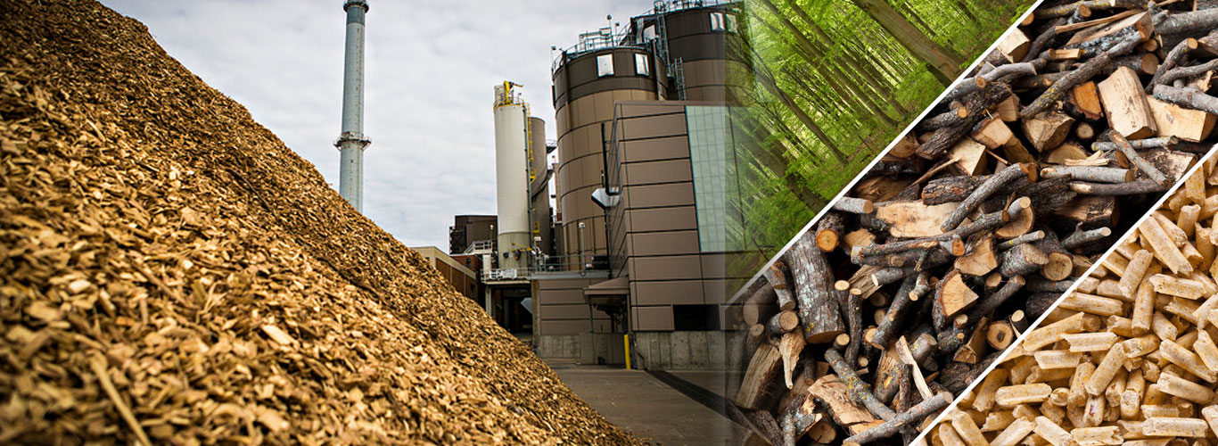 Lathe Machine Manufacturer in India - Golden Heavy Engineering Company Premium Industrial Equipment